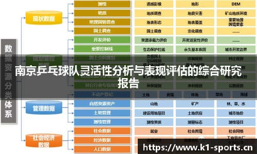 南京乒乓球队灵活性分析与表现评估的综合研究报告